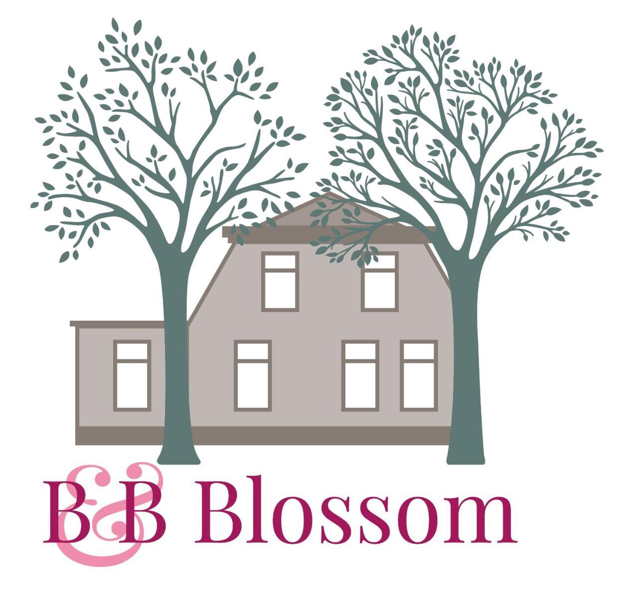 B&B Blossom Lisse Exterior photo